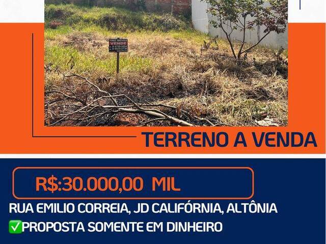 #267 - Área para Venda em Altônia - PR